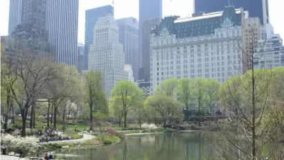 Central Park - Manhattan, New York