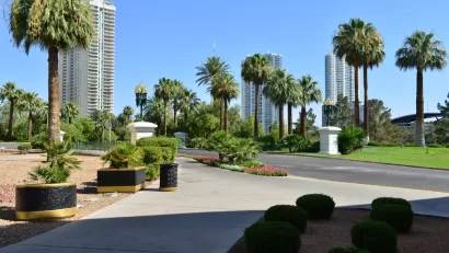 Drought Tolerant Landscaping
