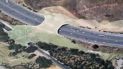 Rendering of the proposed Liberty Canyon Wildlife Corridor
