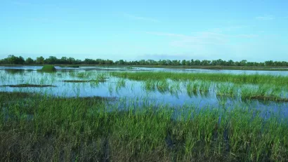 Natural Resources Conservation Service's Wetlands Reserve Program