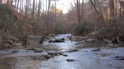 Atlanta Creek