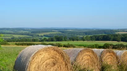 A bale if hay is rolled up in an expansive agricultural landscape.