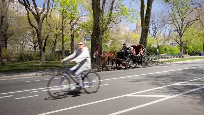 New York Bike Lane