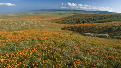 Antelope Valley, California
