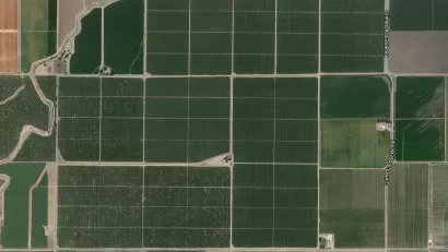Country Grid
