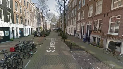 Saenredamstraat, Parking Free Street
