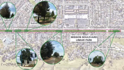 Map showing Mission Boulevard Linear Park in Hayward, California and bubbles highlighting types of trees along park area.