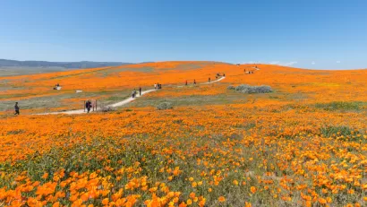 Los Angeles County