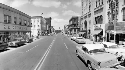Treeless Ann Arbor