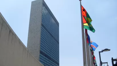 United Nations Flags
