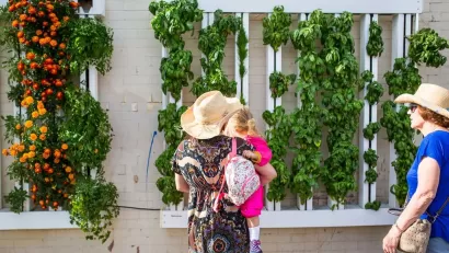 Urban Gardening