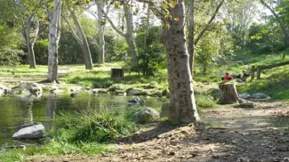 Hopkins Wilderness Park, Redondo Beach, CA