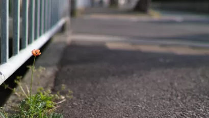 Asphalt