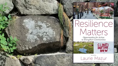 Ivy-covered stone wall and cover of Resilience Matters e-book