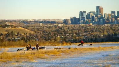 Photo of Calgary skyline from Edworthy Park