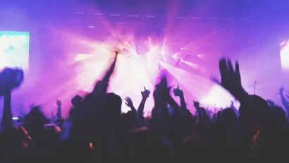 Concert crowd