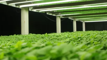 Farmed Here Aquaponics