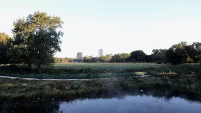 Jackson Park Chicago