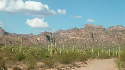 Organ Pipe Cactus National Monument