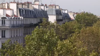 Paris Trees
