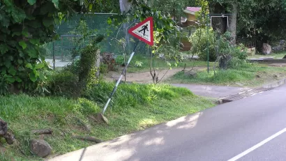 Pedestrian Danger