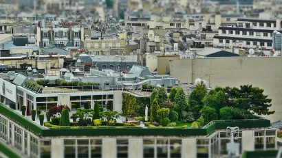 French Density