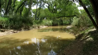 San Pedro River