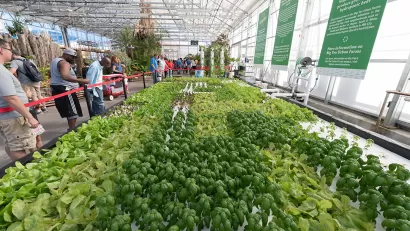 Big Tex Urban Farms Hydroponic Tank