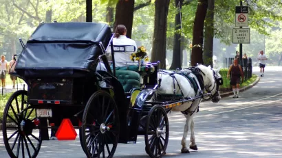 Horse Carraige