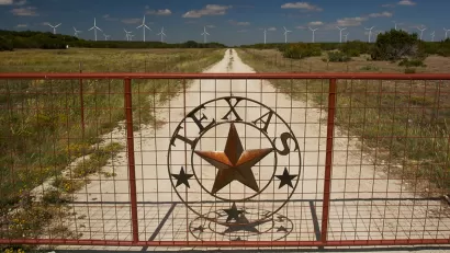 Texas Wind