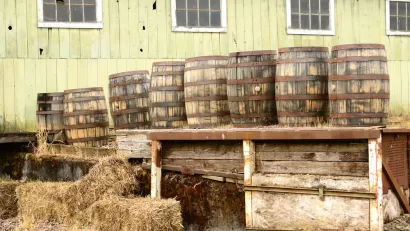 Wine Barrels
