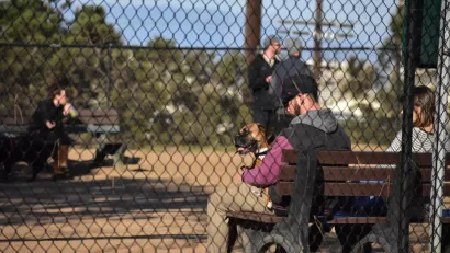 Silver Lake Dog Park