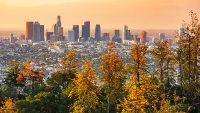 View of Los Angeles skyline at sunrise with yellow and green trees in foreground