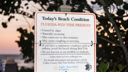 Florida Beach