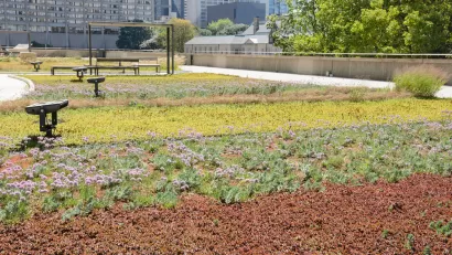 Green Roof