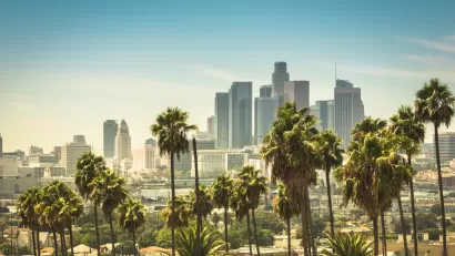 View of Los Angeles skyline on sunny day with palm trees in foreground