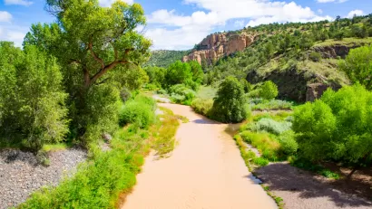 Gila National Forest