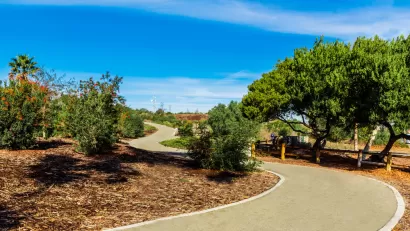 Concrete walking and biking trail winding through trees and bushes
