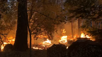 Fire burns in a forest during Camp Fire in Paradise, California