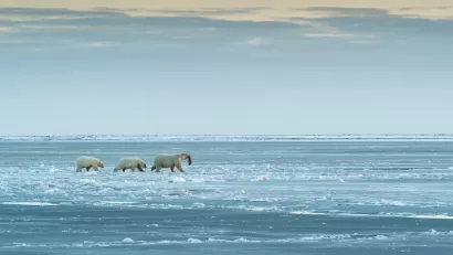 Arctic National Wildlife Refuge