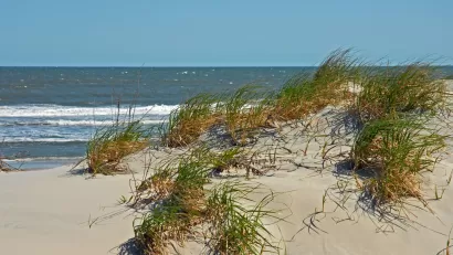 New Jersey Coast