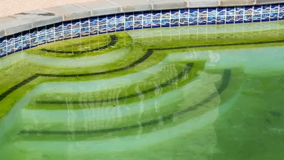 Backyard Pool