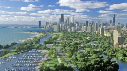 Chicago Lake Michigan Trees