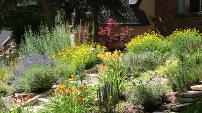 Front yard landscaped with native plants and flowers