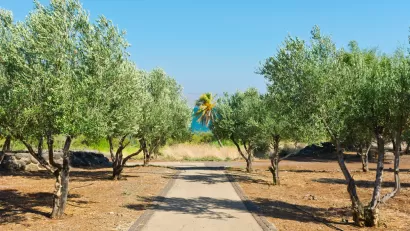 Desert Farm