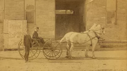 Horse and Buggy