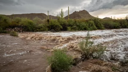 Flask Flood