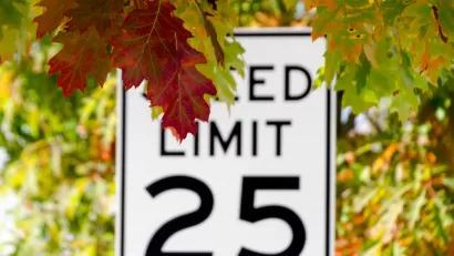 25 mph speed limit sign partially obscured by red and orange fall leaves