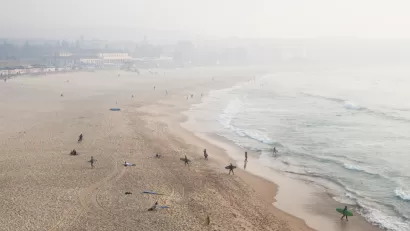 Wildfire Smoke