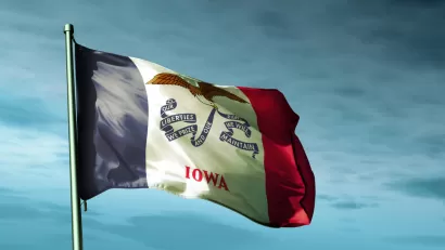 Iowa State Flag